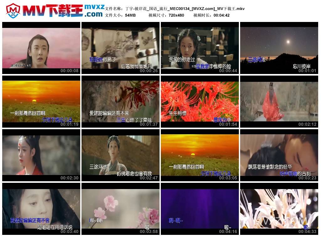 丁宇-彼岸花_国语_流行_MEC00134